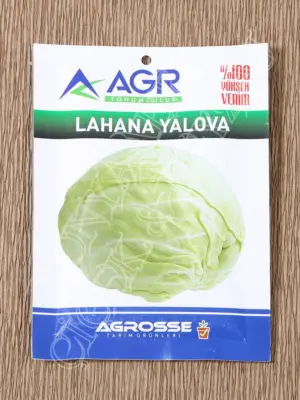 Yalova Cabbage Seed  